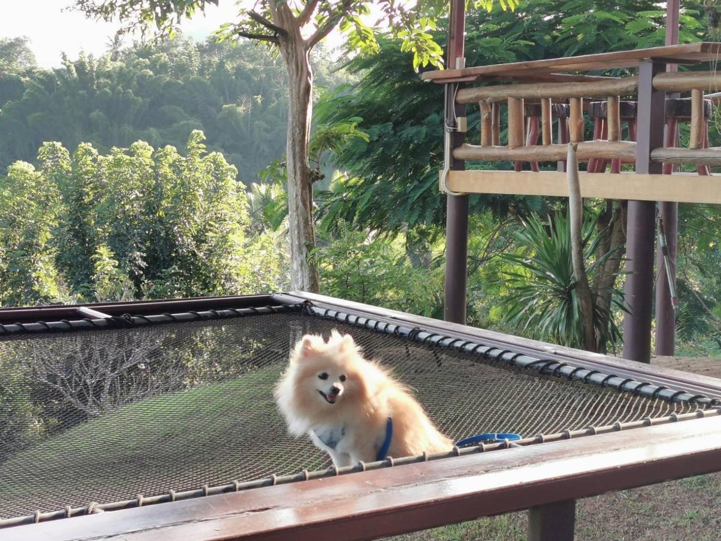 BaanRai KhunYa Hotel Sai Yok Luaran gambar